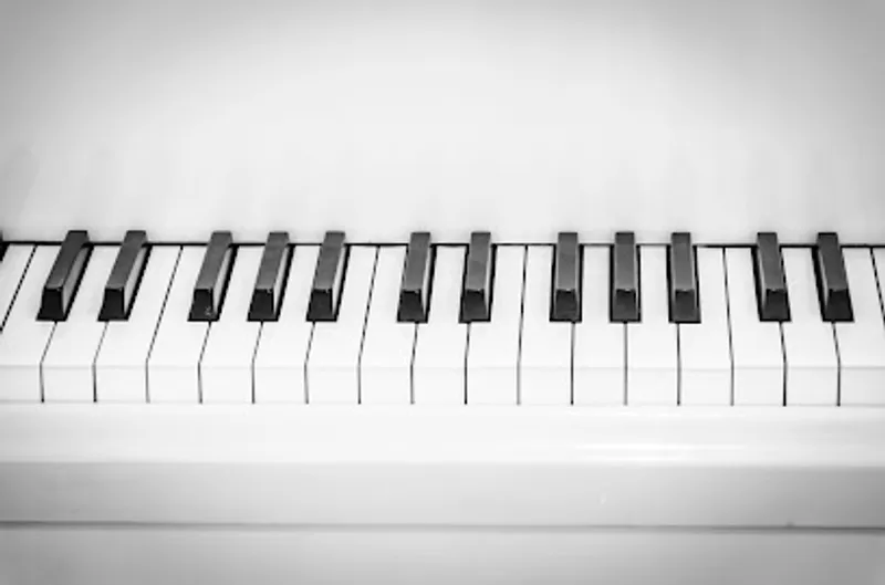 Lara's Piano Coaching Academy
