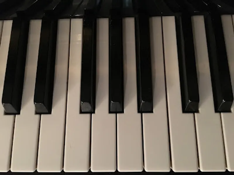 Bluebird Piano Studio LLC