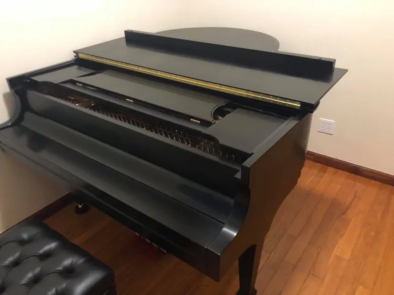 The New Piano Studio