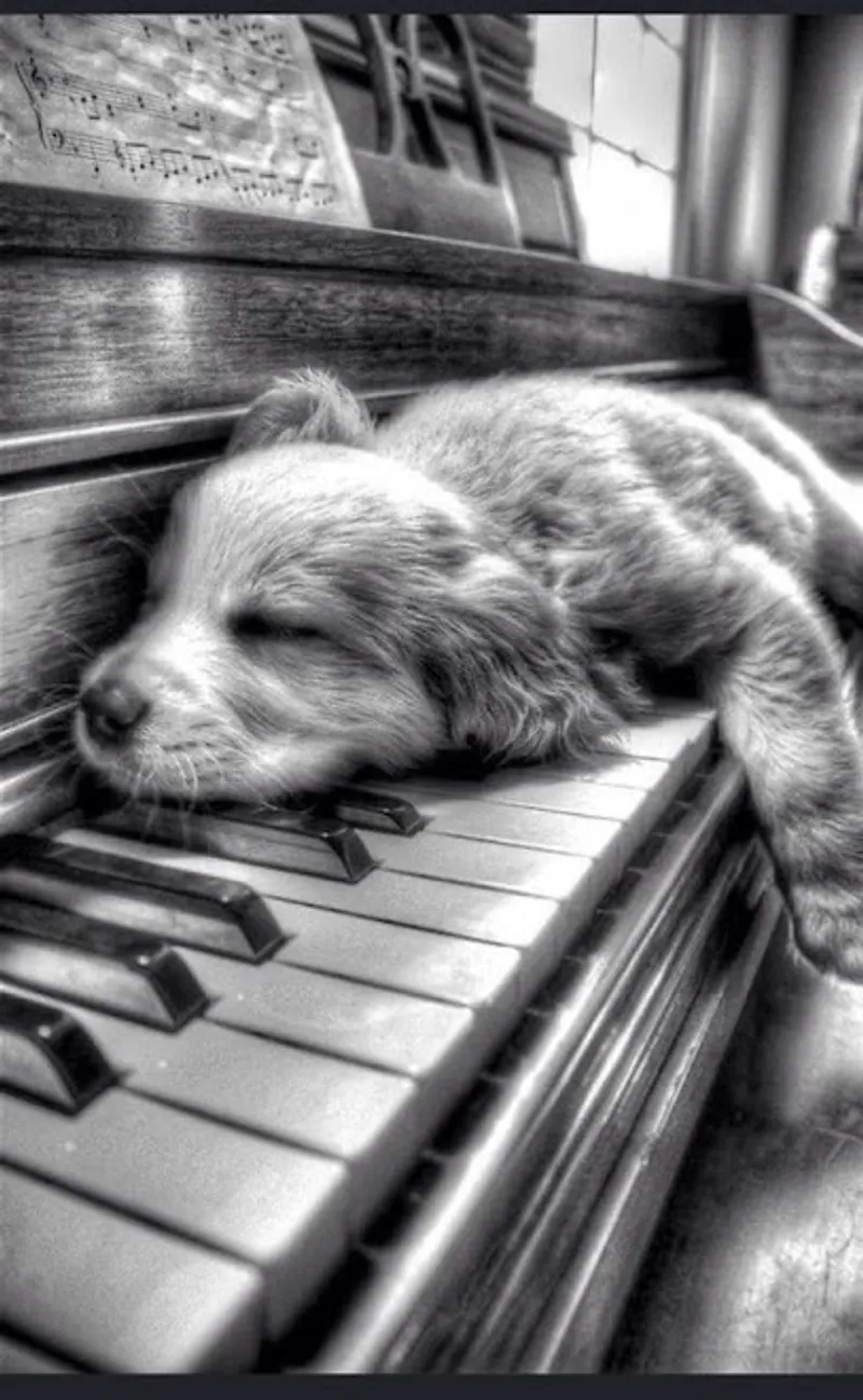 Piano Lessons, Staten Island NY