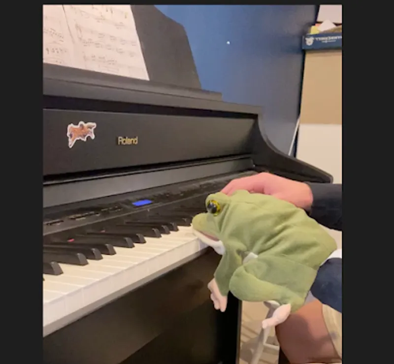 Northern Virginia Piano Lessons