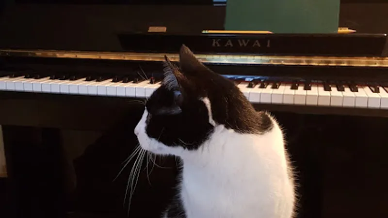 Piano Lessons LA