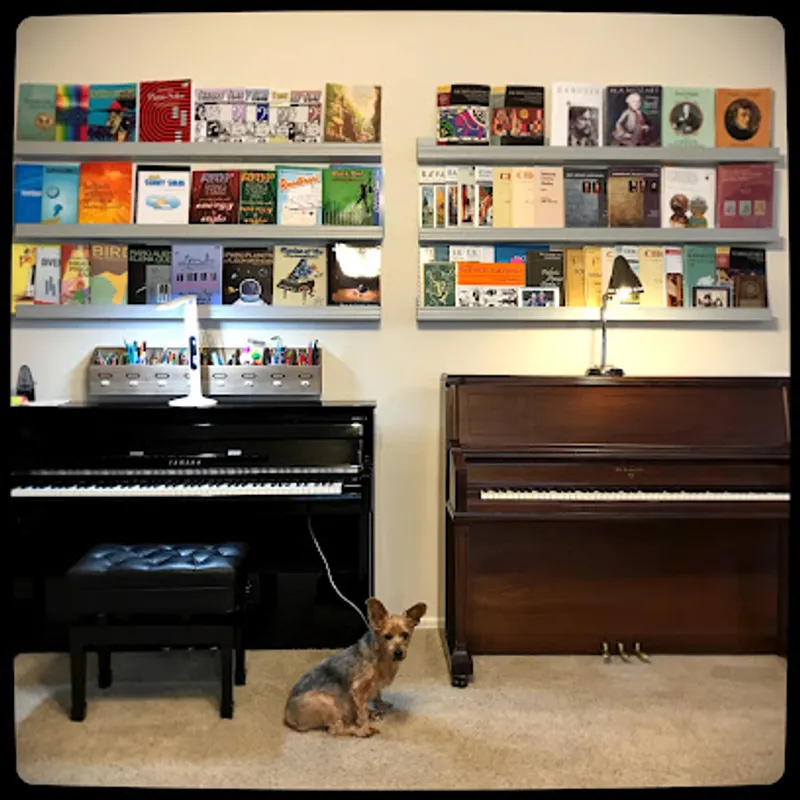 Stone Oak Piano Studio : Stone Oak Piano Lessons