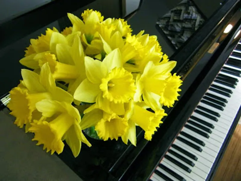 Garin Piano Studio, LLC