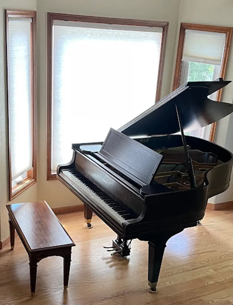 ThePurplePiano